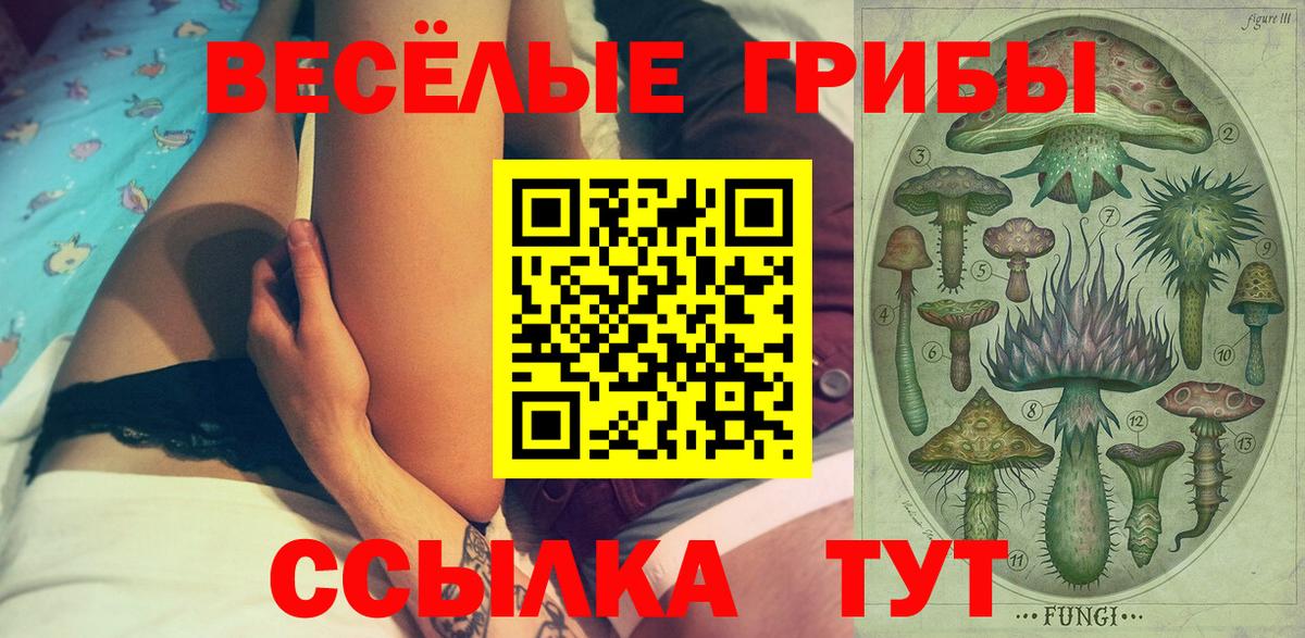 Галлюциногенные грибы мицелий  Вход с VPN  Псилоцибиновые грибы Psilocybe  Саранск 