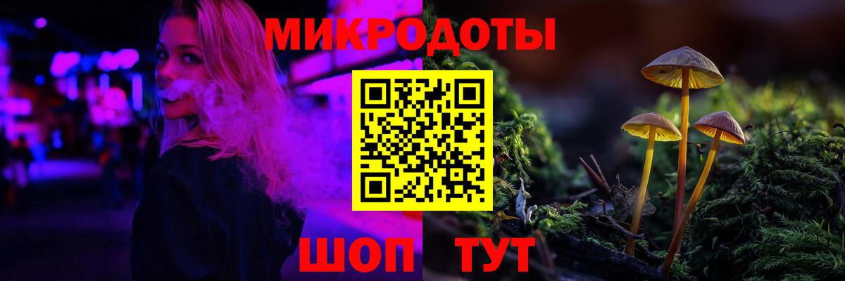 Галлюциногенные грибы Cubensis Саранск