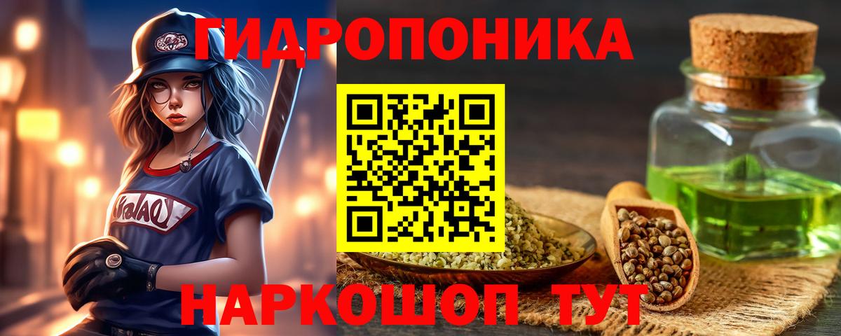 A PVP Саранск